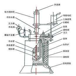 宏协化工(图),高温高压磁力反应釜厂家,磁力反应釜