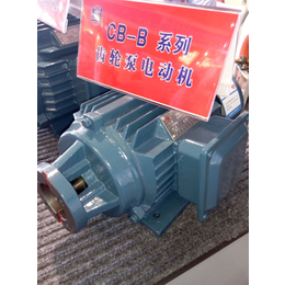 江苏双菊立式CB-B液压齿轮泵电机长期供应缩略图
