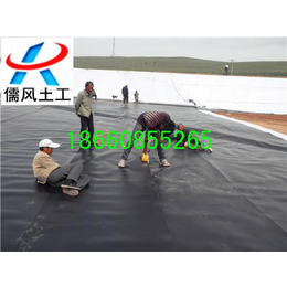 梅州HDPE土工膜_儒风土工(在线咨询)_HDPE土工膜环保