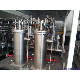 加气站低温潜液泵-东照能源加气站成套设备厂家