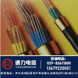 长武县控制电缆、通力电缆(****商家)、控制电缆型号