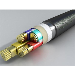 阳谷电缆,阳谷电缆公司,山东绿灯行电缆集团(多图)