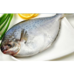 鲳鱼,连云港鲳鱼批发,万斛食品(多图)