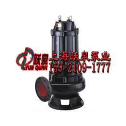 50WQ30-30-5.5排污水泵_跃泉泵业