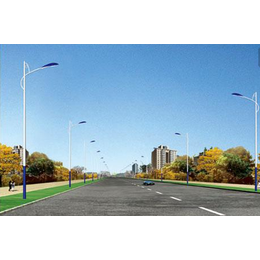 四川路灯生产厂家市电路灯道路照明工程城市道路灯缩略图