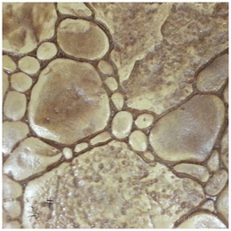 安阳市彩色混泥土压印地坪鹤石****打造缩略图