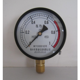布莱迪Y-100就地指示型普通压力表  生产方便 读书简单