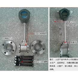 金湖恒天****高纯氢气流量计缩略图