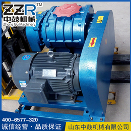 厂家*罗茨鼓风机ZZR300三叶增氧机污水处理批发定制高压