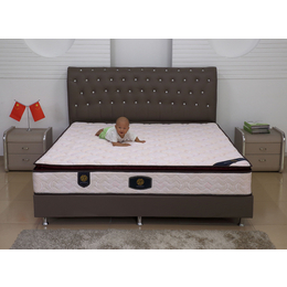 床垫1.5 1.8米弹簧环保棕垫软硬定做席梦思床垫缩略图