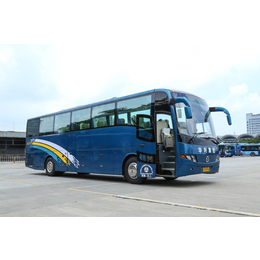 东莞定制巴士 校园巴士 机场巴士 包车 港澳直达