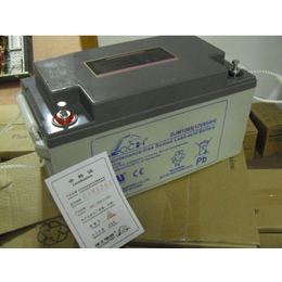理士蓄电池DJM12100产品价格
