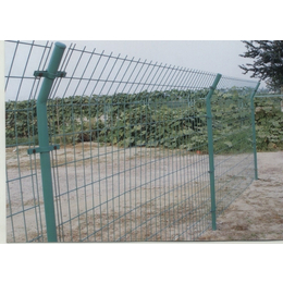航磊厂家设计生产养殖护栏网 双边丝护栏网 价格优惠 *