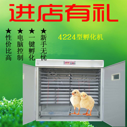 孵化器孵化设备孵化箱家用孵化机4224枚孵化机卵化器卵化箱缩略图