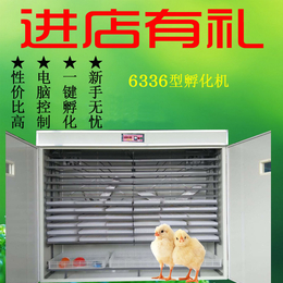 孵化机孵化器6336枚孵化箱孵化设备家用孵化机全自动 卵化机