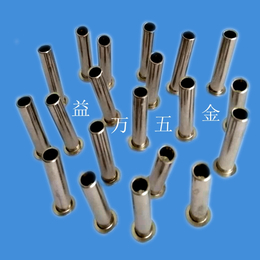 温州厂家*铁铆钉铜铆钉不锈钢铆钉多种规格品质保证*缩略图