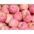 山东苹果产地低价批发出售水晶红富士苹果缩略图3
