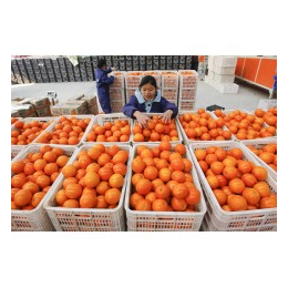 供应鲜水果保鲜库以及冷藏库厂家建设安徽省合肥市