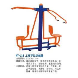 广西永福县健身器材双位坐推训练器 小区户外健身器材缩略图