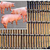 猪羊踏板网-猪羊漏粪网-畜牧养殖网厂家缩略图3