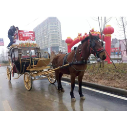 东莞大量出租仿古欧式皇家马车 旅游*真实马匹