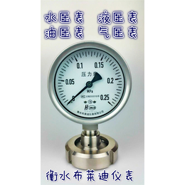液压系统用表不锈钢隔膜压力表布莱迪YTNP-100MF7
