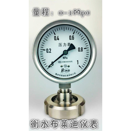 布莱迪YTNP-100MF7水利工程*不锈钢隔膜压力表