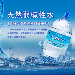 水厂*巴马水 天然矿泉水 源自世界长寿之乡