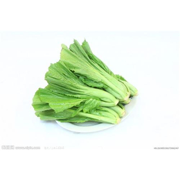 东城蔬菜配送|泰鑫膳食(在线咨询)|蔬菜配送公司