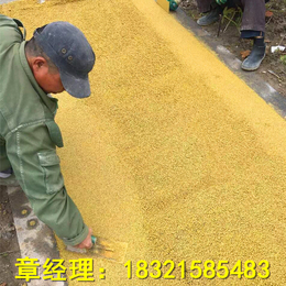 西宁透水路面施工现场