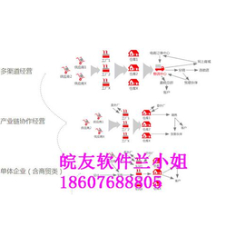 南城进销存软件、皖友软件管理、进销存软件价格缩略图