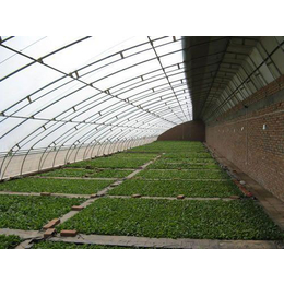 浩銘溫室、溫室蔬菜大棚、鋼結構溫室蔬菜大棚