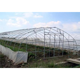 温室蔬菜大棚钢管厂(图)|新疆大棚钢管厂|大棚钢管厂