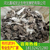 新疆乌鲁木齐干鸡粪能做枣树底肥吗 乌鲁木齐鸡粪批发市场在哪里 缩略图4