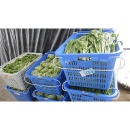 天美和农产品(图)|天河蔬菜配送价钱|石牌蔬菜配送缩略图