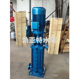 DL型立式多级离心泵 适于高层建筑供水 空调泵 锅炉泵
