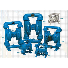 特价胜佰德气动隔膜泵 SANDPIPER胜佰德批发缩略图