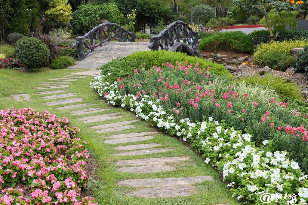 园林绿化中的花衣裳——观花地被植物