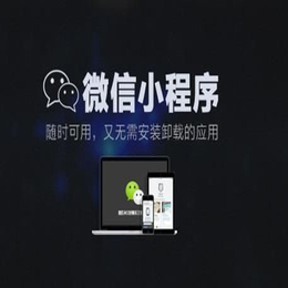 小程序_东联网络_广州商城型小程序制作