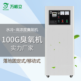 万格立100g蜂窝式水冷臭氧发生器污水原水****消毒脱色除臭