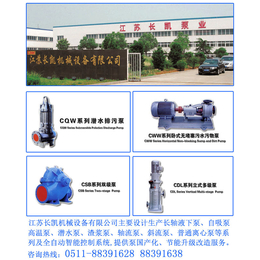 江苏长凯机械(图)_立式管道泵供应_达州立式管道泵