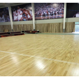 体育运动木地板设计施工技术河北双鑫缩略图