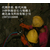 广西田东县滑石矿开采设备液压静态开采机械当选迪戈液压劈裂机缩略图1