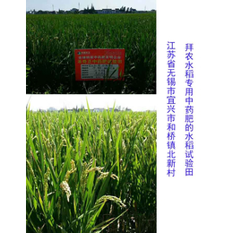 拜农生物_忻州生物有机肥_水稻生物有机肥的优点