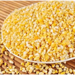 玉米供应商批发|上海骧旭农产品(在线咨询)|玉米