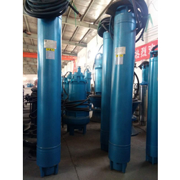 充水式水泵-充水水泵-立式水泵-温泉水泵-地热水泵