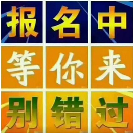 急无技术要求 爱尔兰 伐木工 300人 年薪30万以上