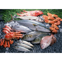 广州金枪鱼进口对标签有什么要求