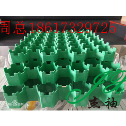 广东佛山植草格价格三水植草格施工方案