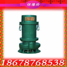 广西玉林BQS80-20-11潜水排污泵厂家